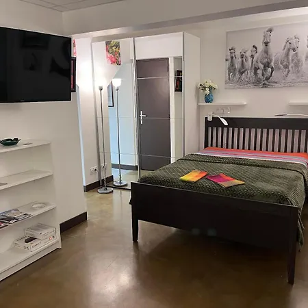 Independant, Patio, Intra-muros , Clim, Parking Apartment Aigues-Mortes